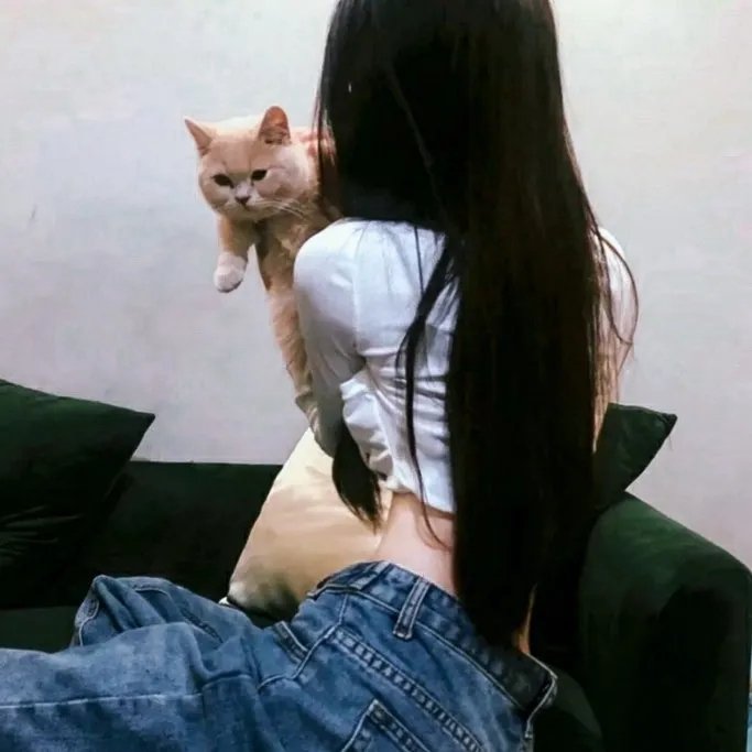 黑猫 海报