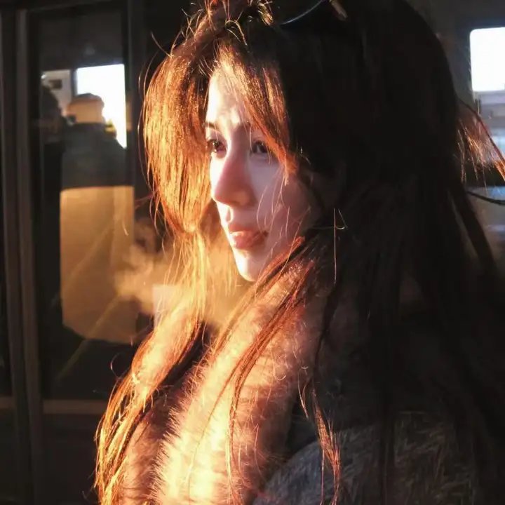 抱着黄金飞翔 海报