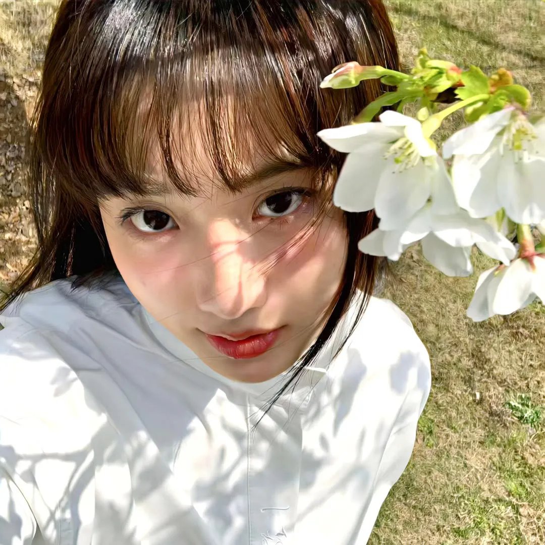 立花登青春备忘录 海报